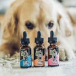 CBD-Oil-for-Dogs